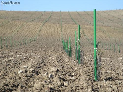 tutores-para-olivos-almendros-y-todo-tipo-de-arboles-3222920z1-00000067